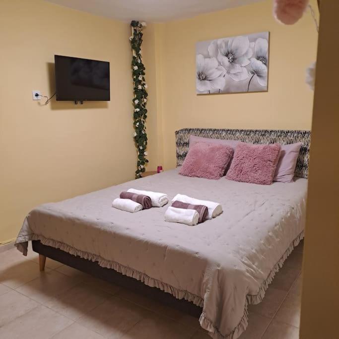 Zenia Home 1 Στην Καρδιά Της Πάτρας Exteriör bild